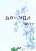 后宫生存日记游戏